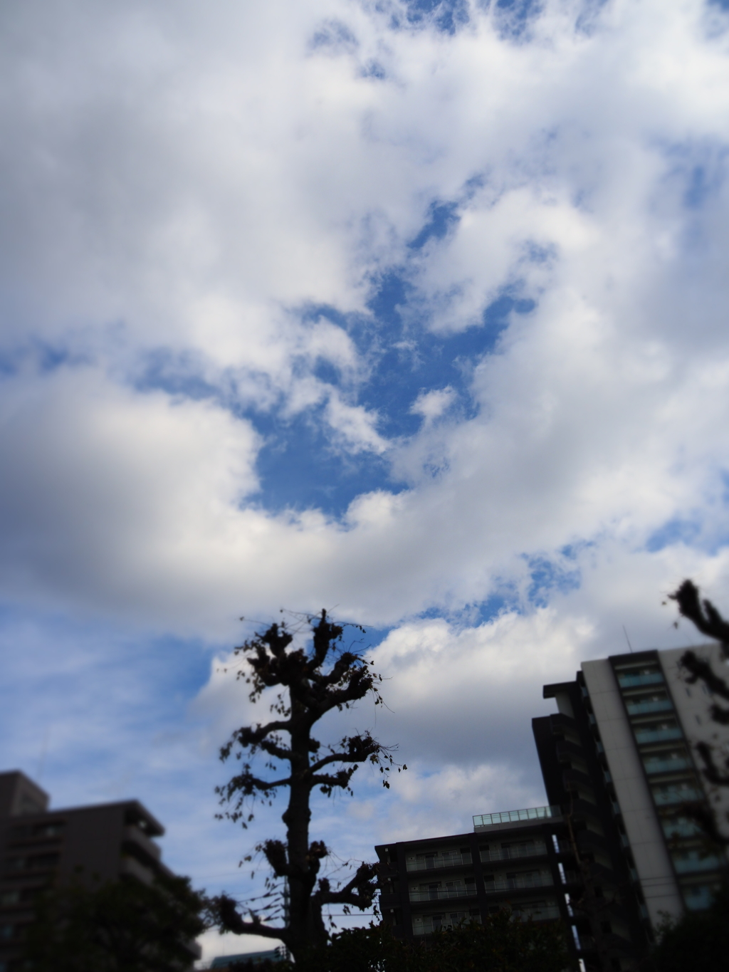 今日の空、2023.1.5