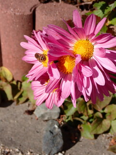 陽だまりで　２