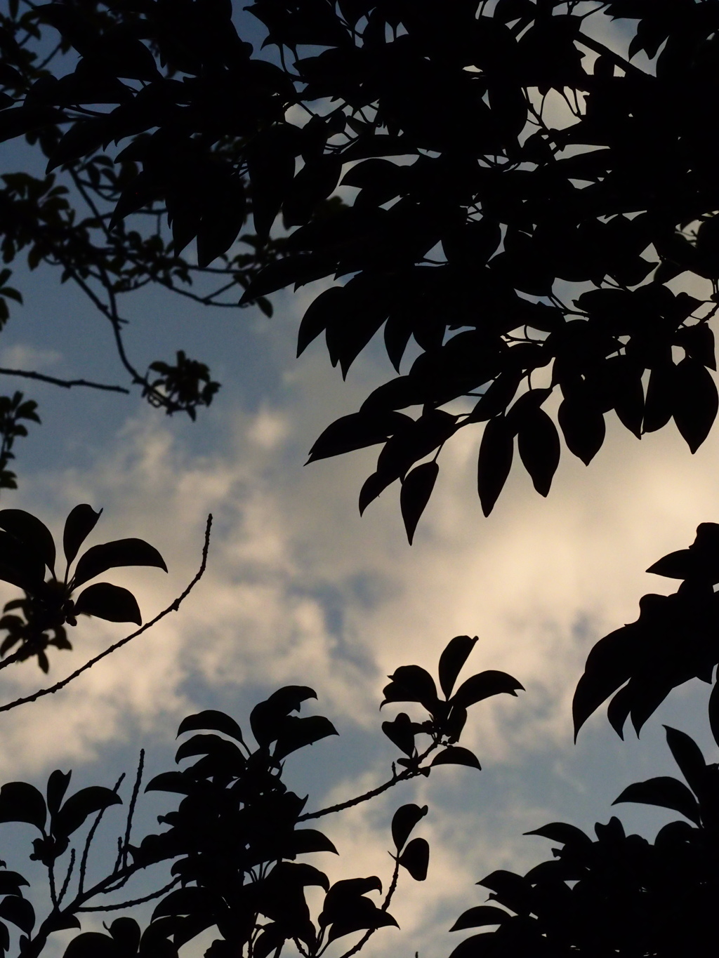 朝の空