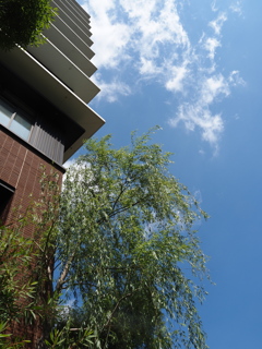 青空