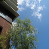 青空