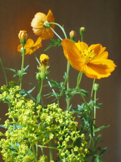 切り花