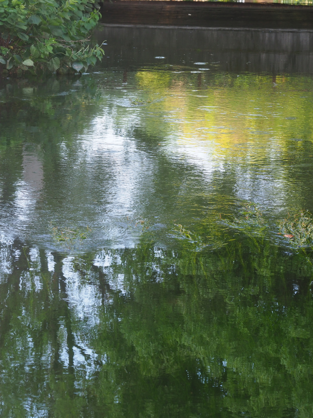 水面