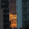 窓に映る夕景