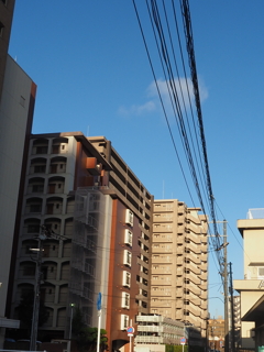 朝日を受けて