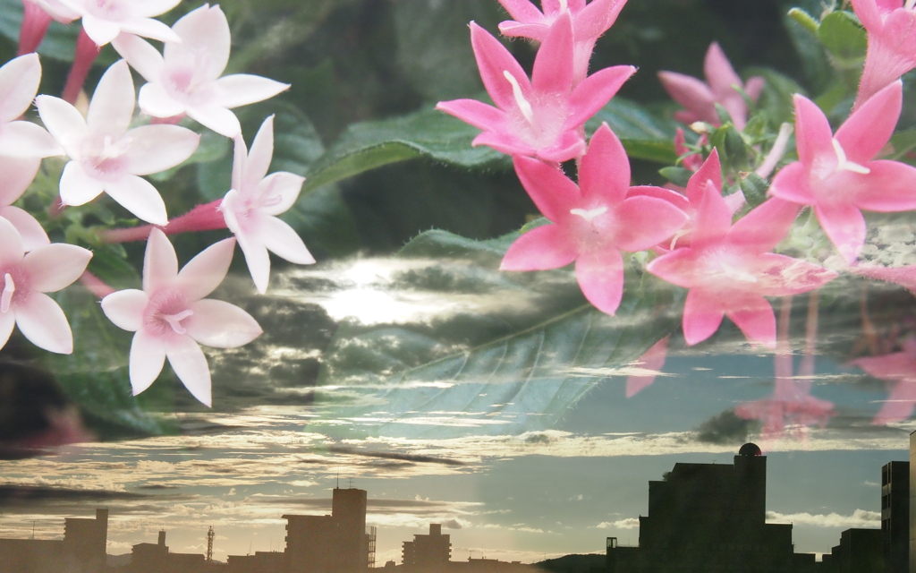 夕暮れ