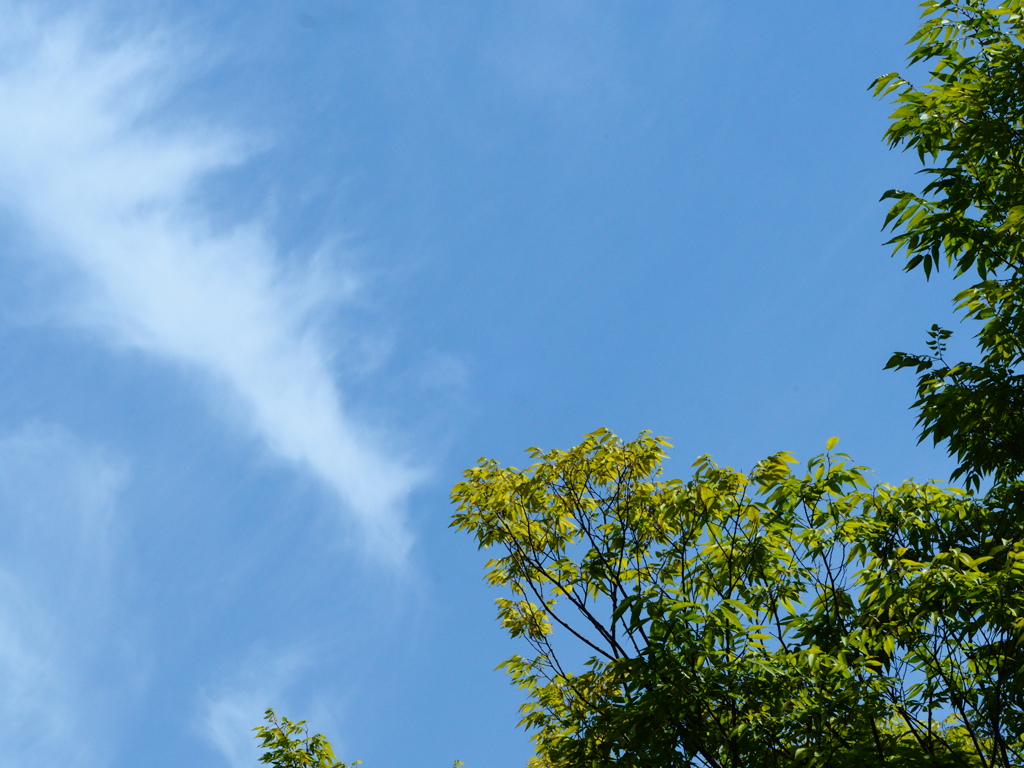 今日の空