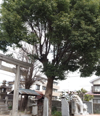 近くの神社にて