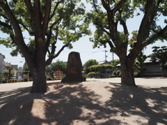 公園の記念樹