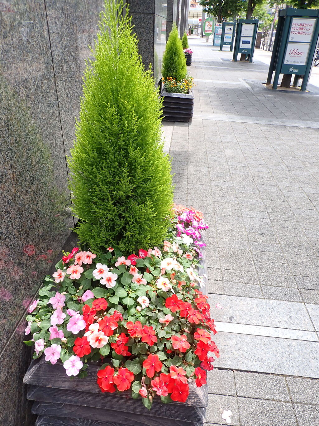 歩道の華やぎ