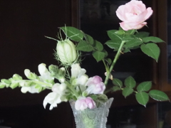 ベランダの花、活けてみました