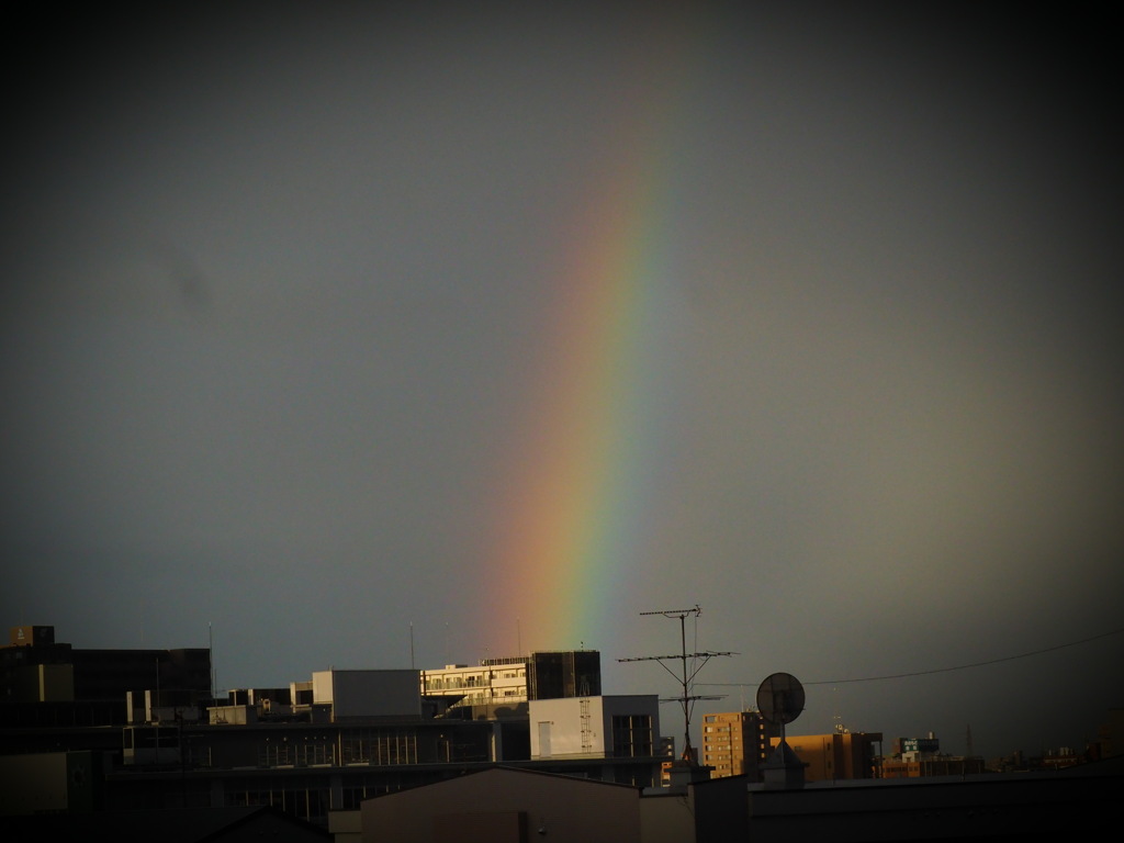 早朝の虹