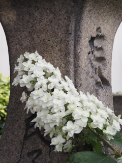 神社の石柱にもたれて