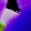 水滴　（１）