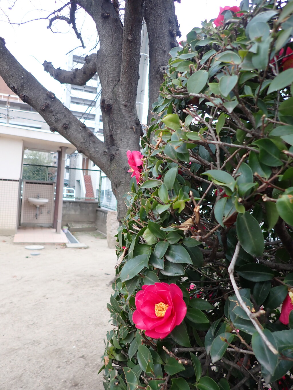 公園にて１