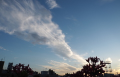 夕空