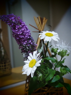 季節の花