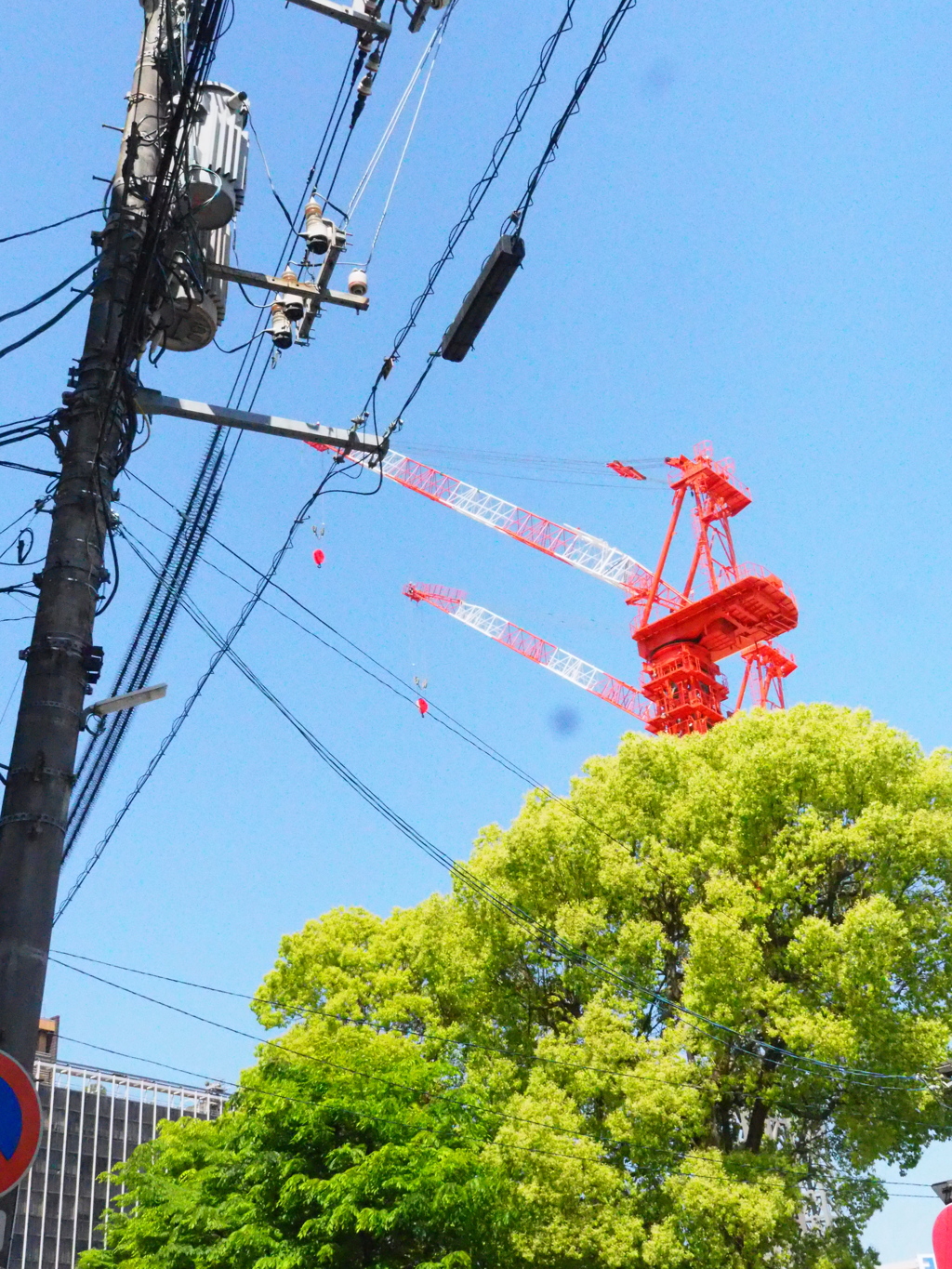 市役所新築中