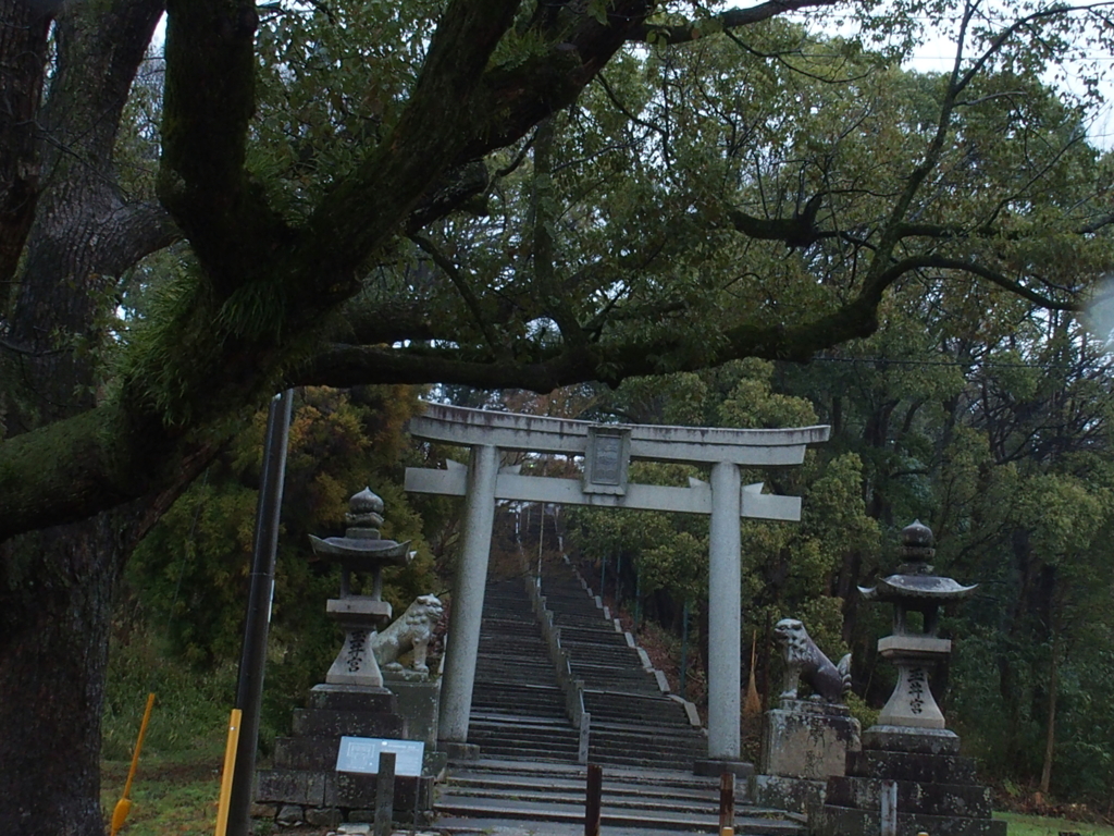 雨の神社