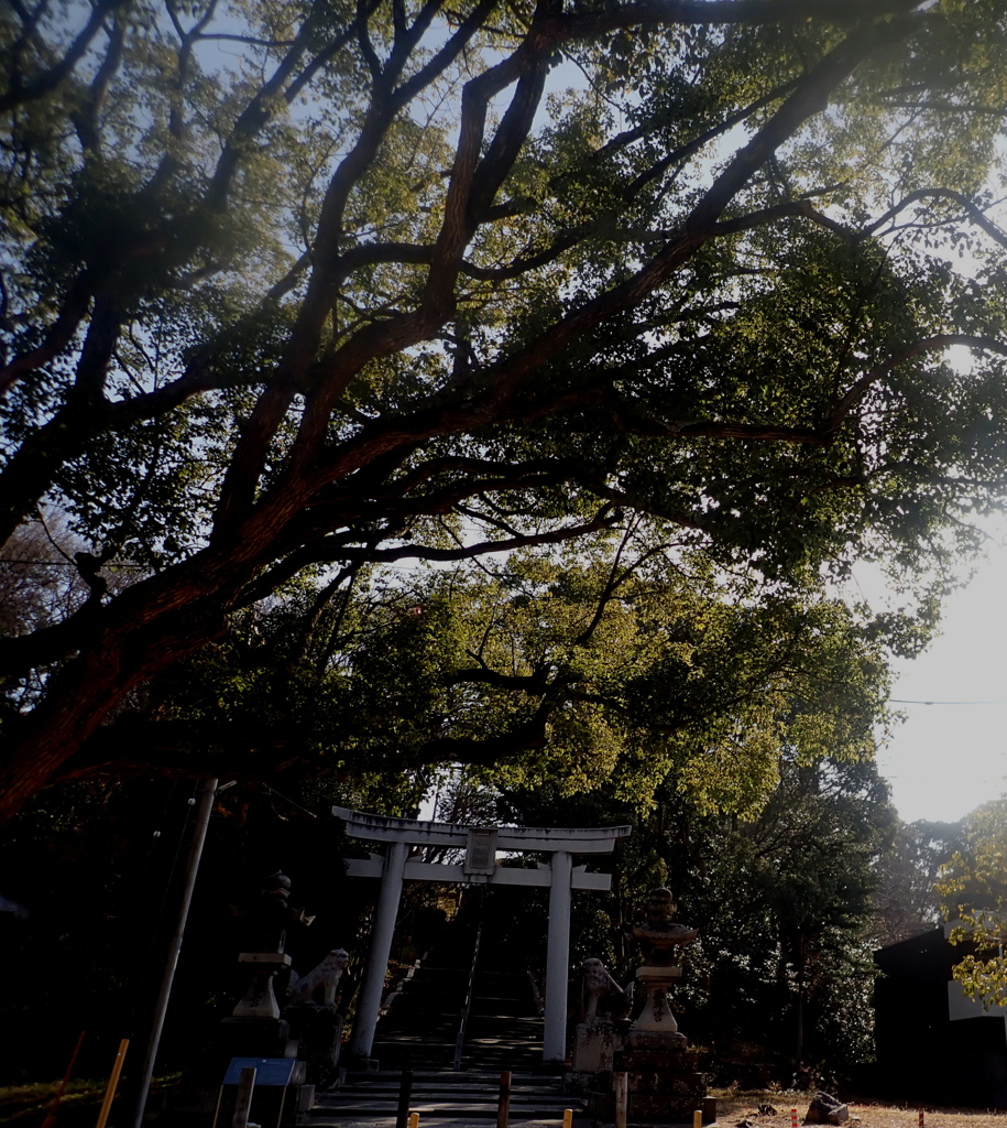 お宮さんへの入り口