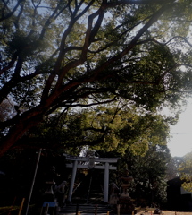 お宮さんへの入り口