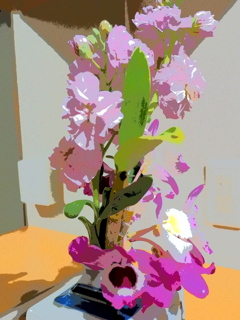 ARTで撮ってみる
