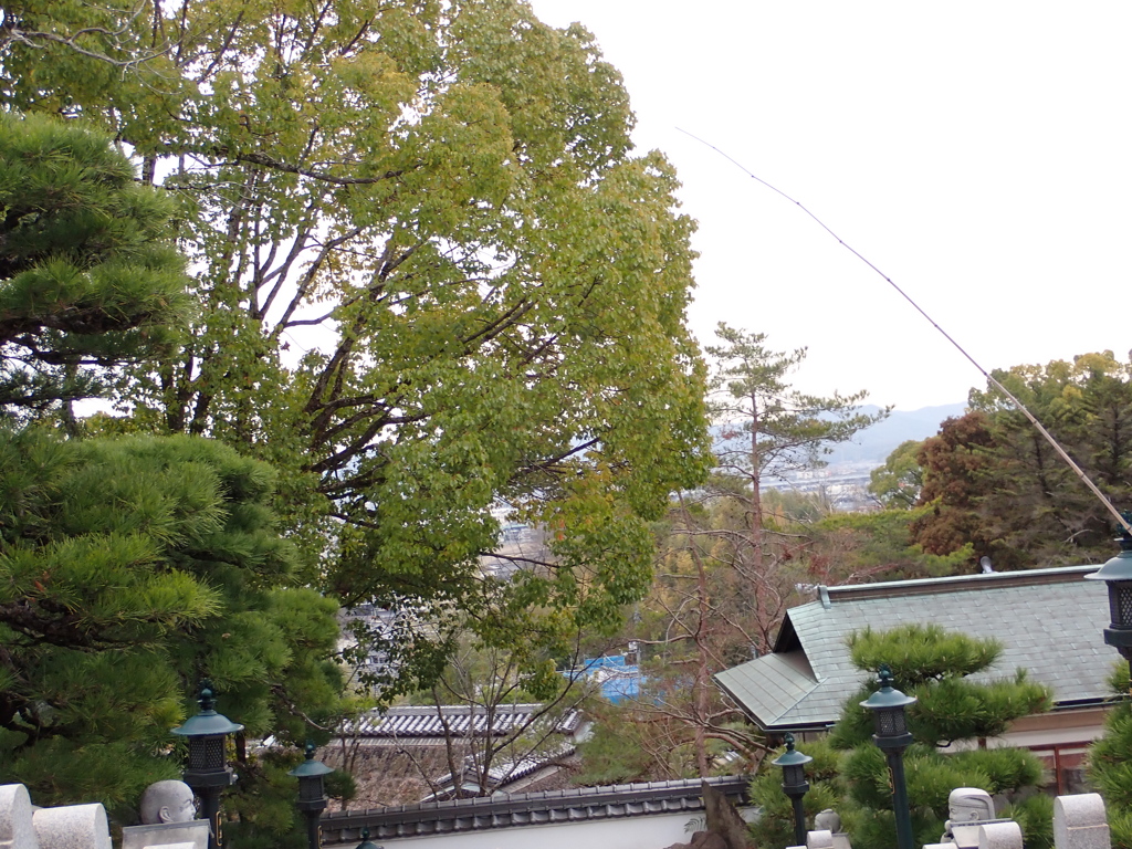 菩提寺