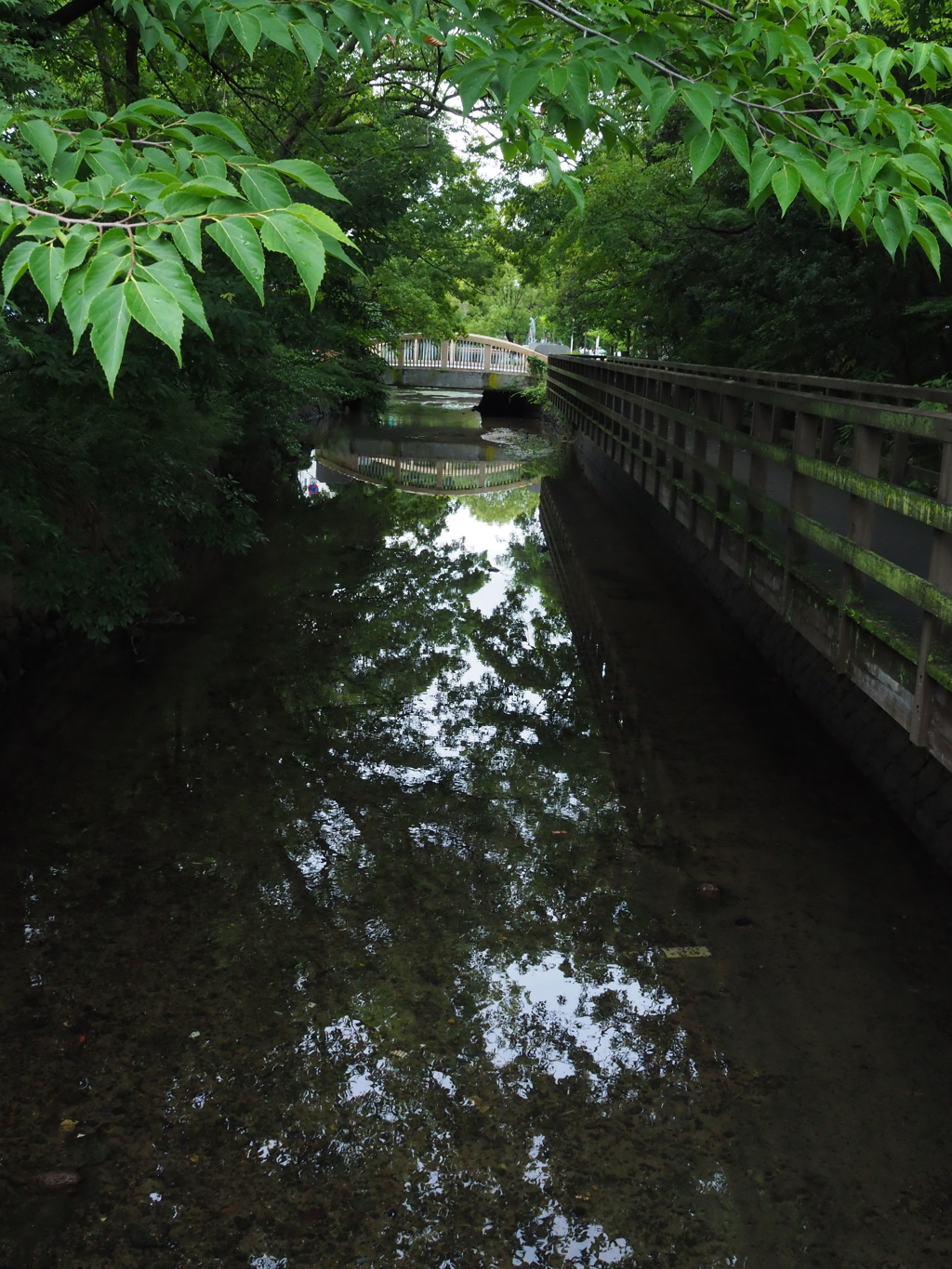 今日の用水路　１
