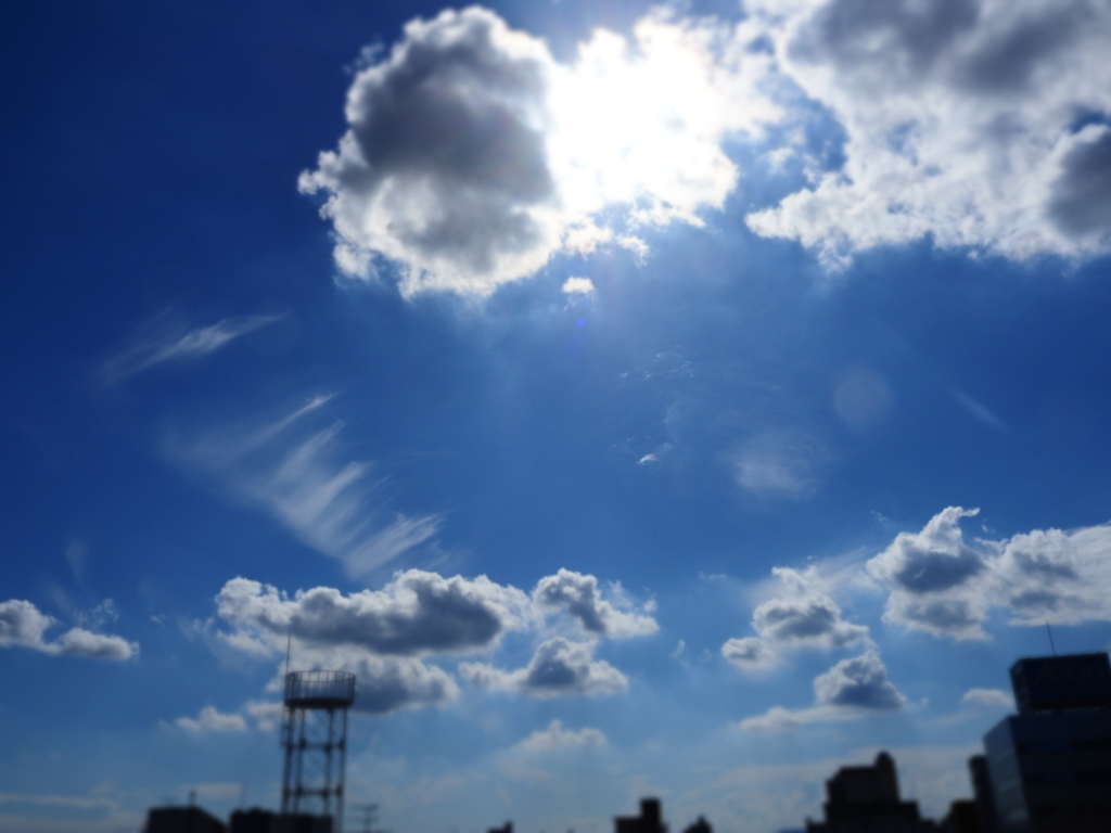 空きれいです