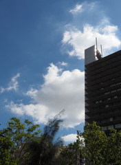 まだ、夏空