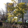 街並み