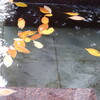 水に浮かんで