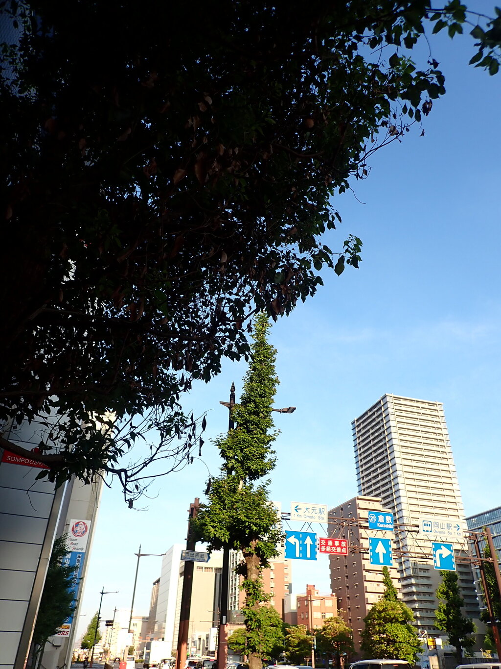 朝日に輝く街並み