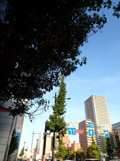 朝日に輝く街並み