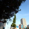 朝日に輝く街並み