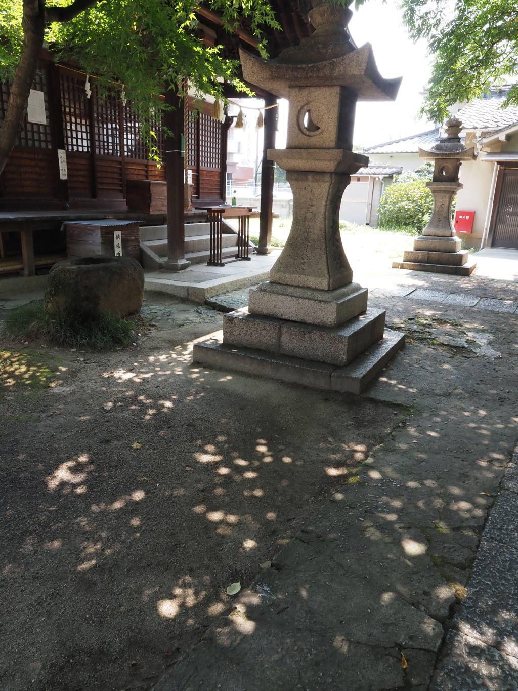 木漏れ日（１）