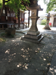 木漏れ日（１）