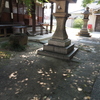 木漏れ日（１）