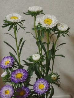 少し秋らしい切り花
