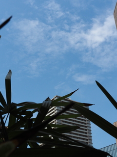今日の空