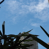 今日の空