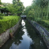 早朝の用水路