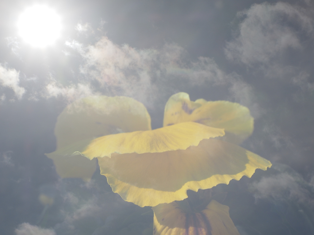 空に花を重ねて（１）