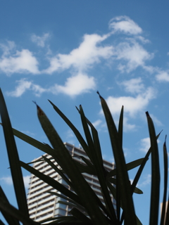 今日の空；暑いです