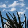 今日の空；暑いです