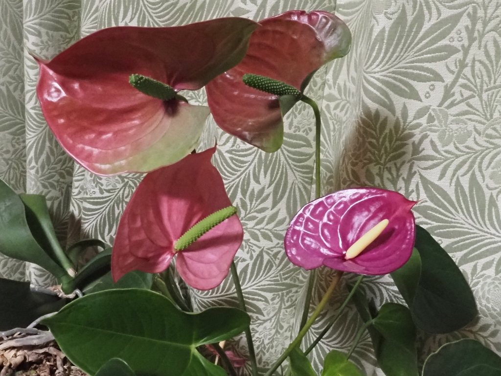 寄り添って