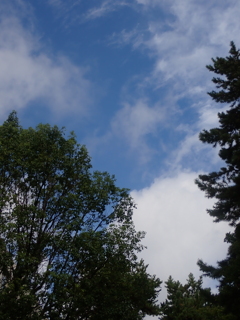 京都にて；晴れて青空