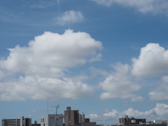  今日の空