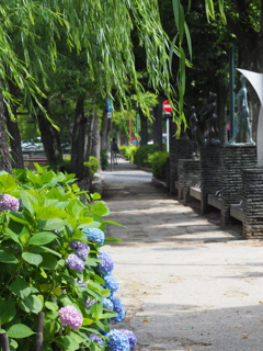 緑道公園