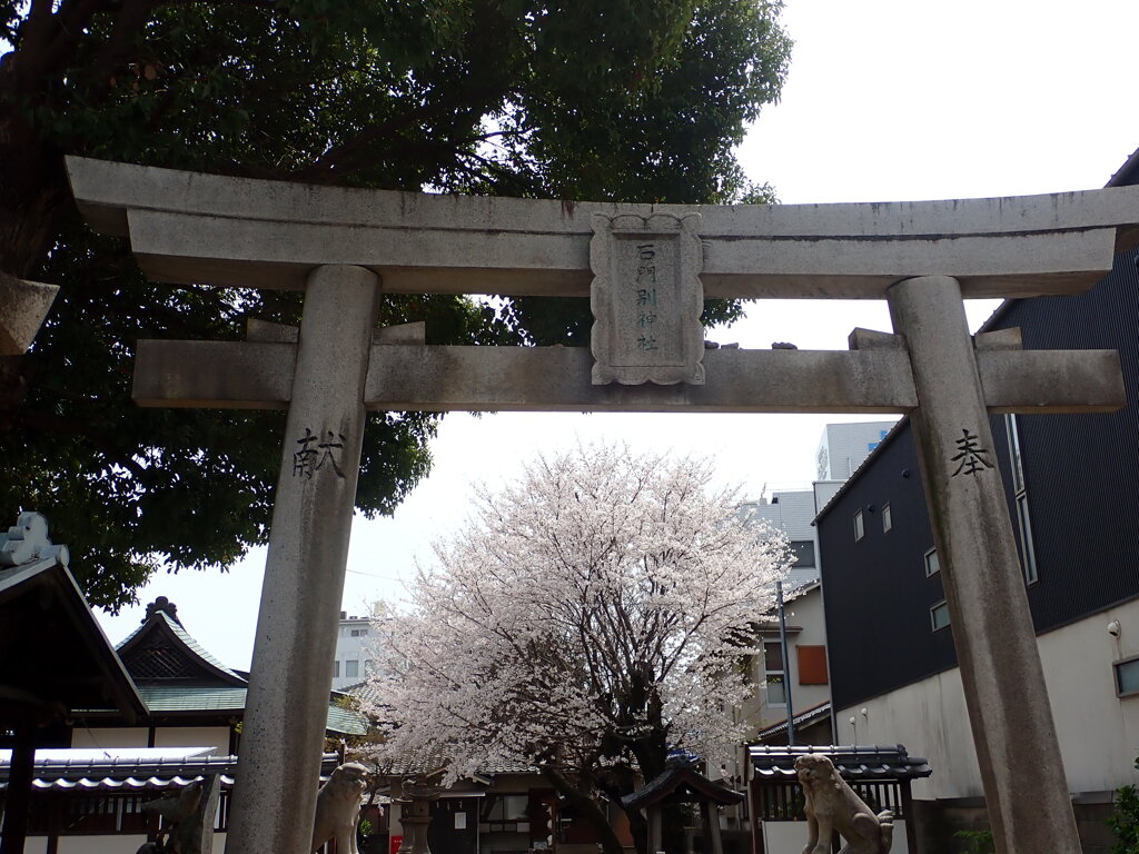 氏神様の桜